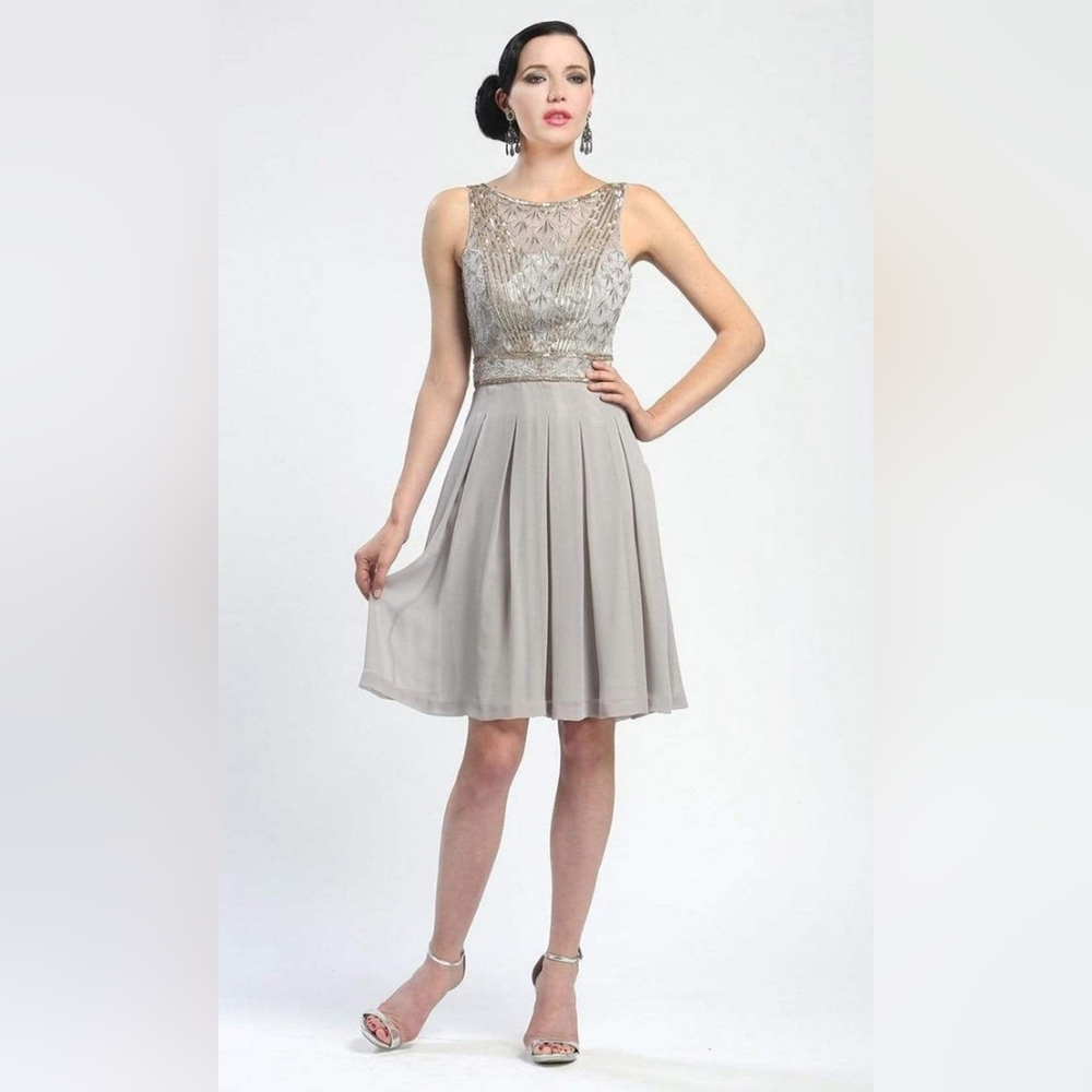 Sue Wong Sleeveless Low V-Cut Back Mesh Bodice Pleated Chiffon Dress